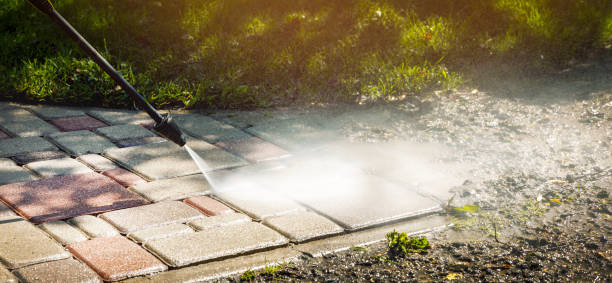 Best Animal Enclosure Cleaning  in Waycross, GA